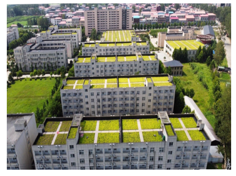 钢结构加固工程